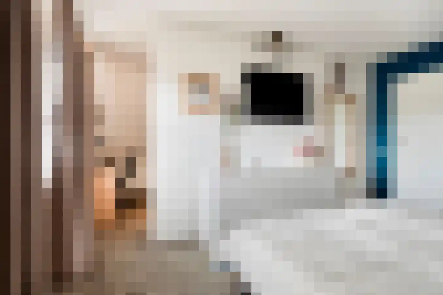 Vorenpakker 19 Bant thumbnail 19