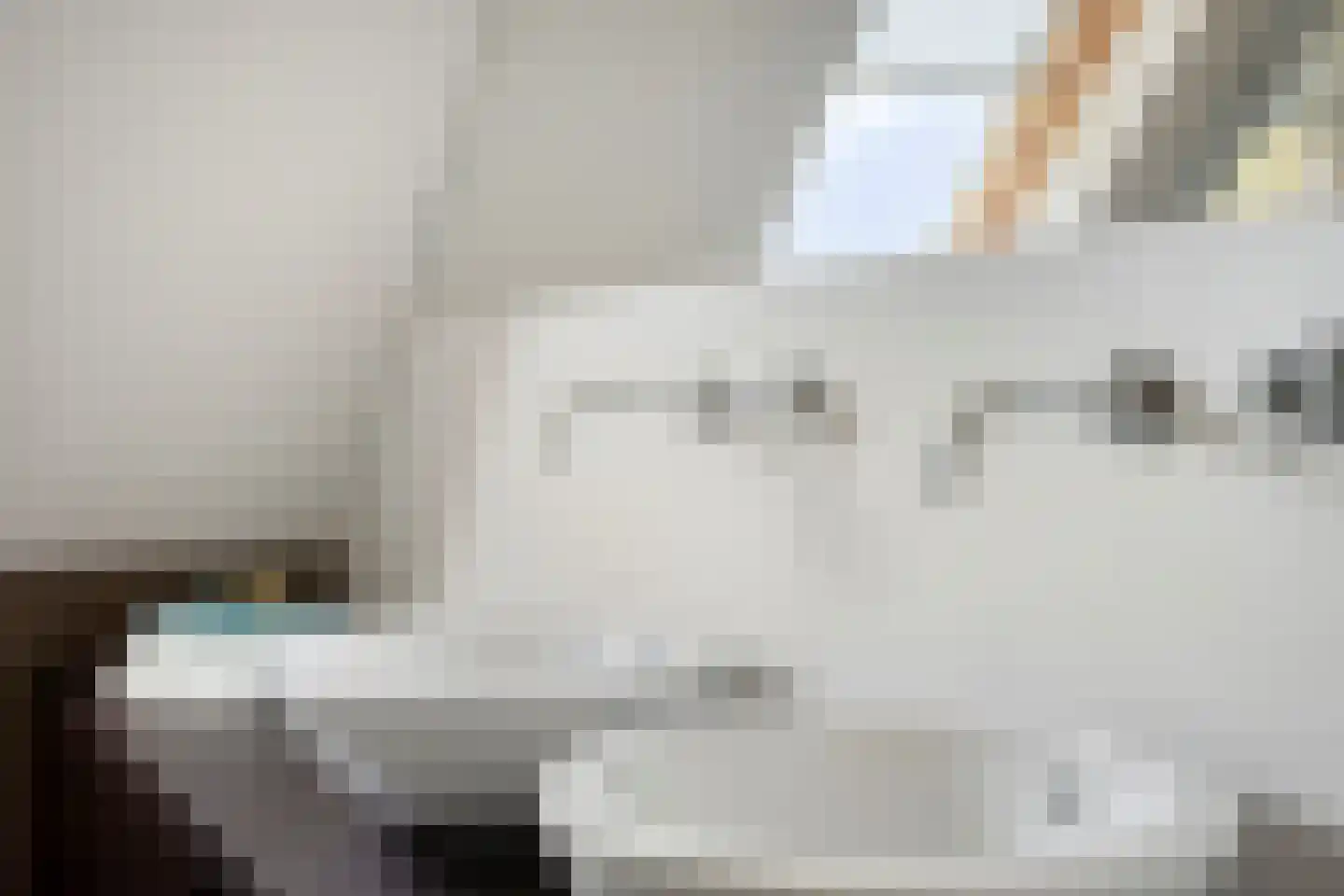 Vorenpakker 19 Bant thumbnail 22