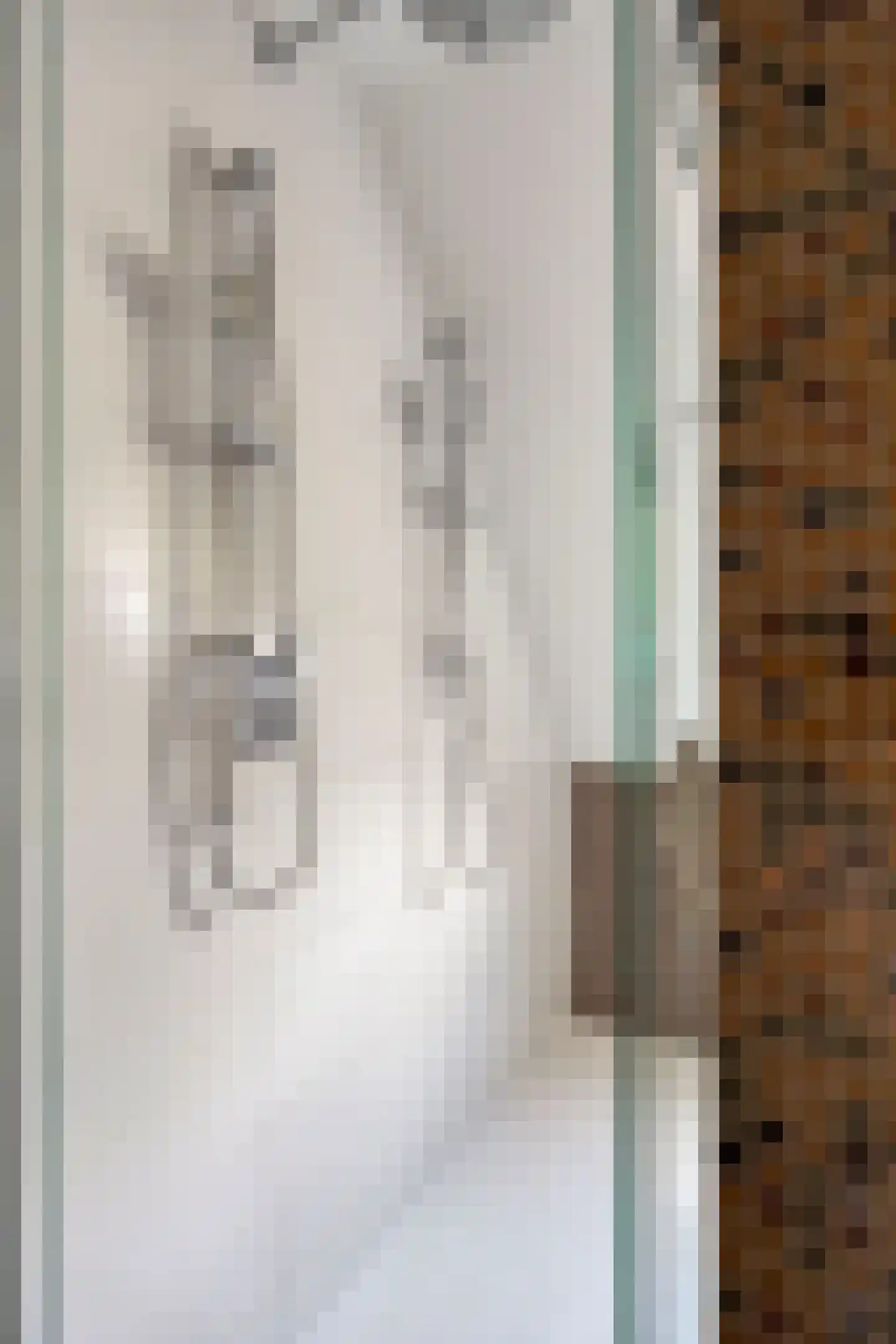 Vorenpakker 19 Bant thumbnail 23
