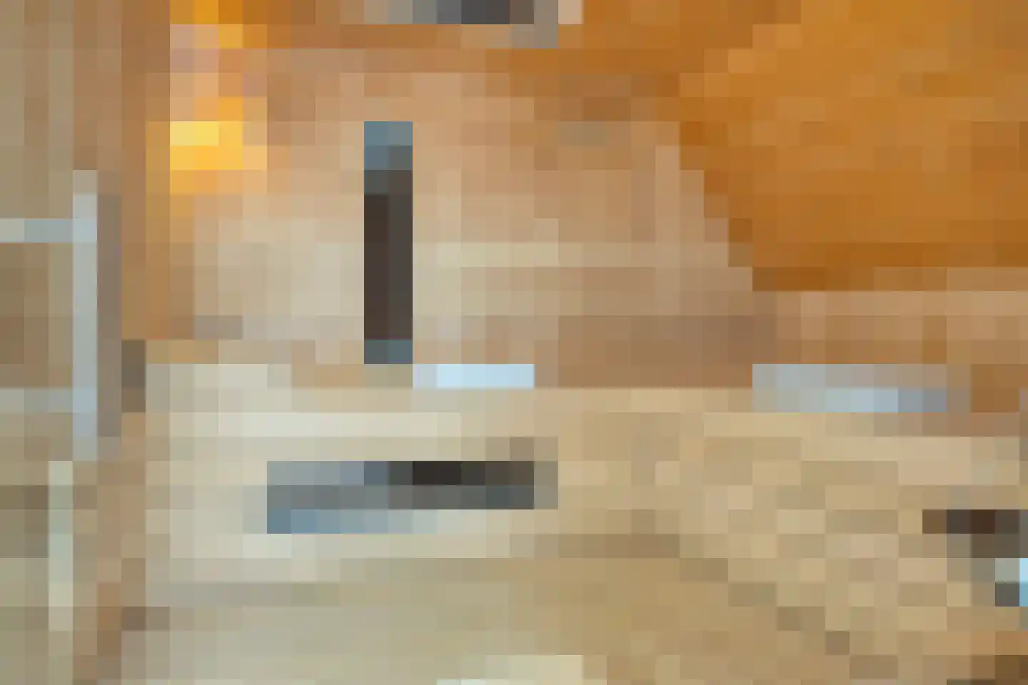 Vorenpakker 19 Bant thumbnail 25