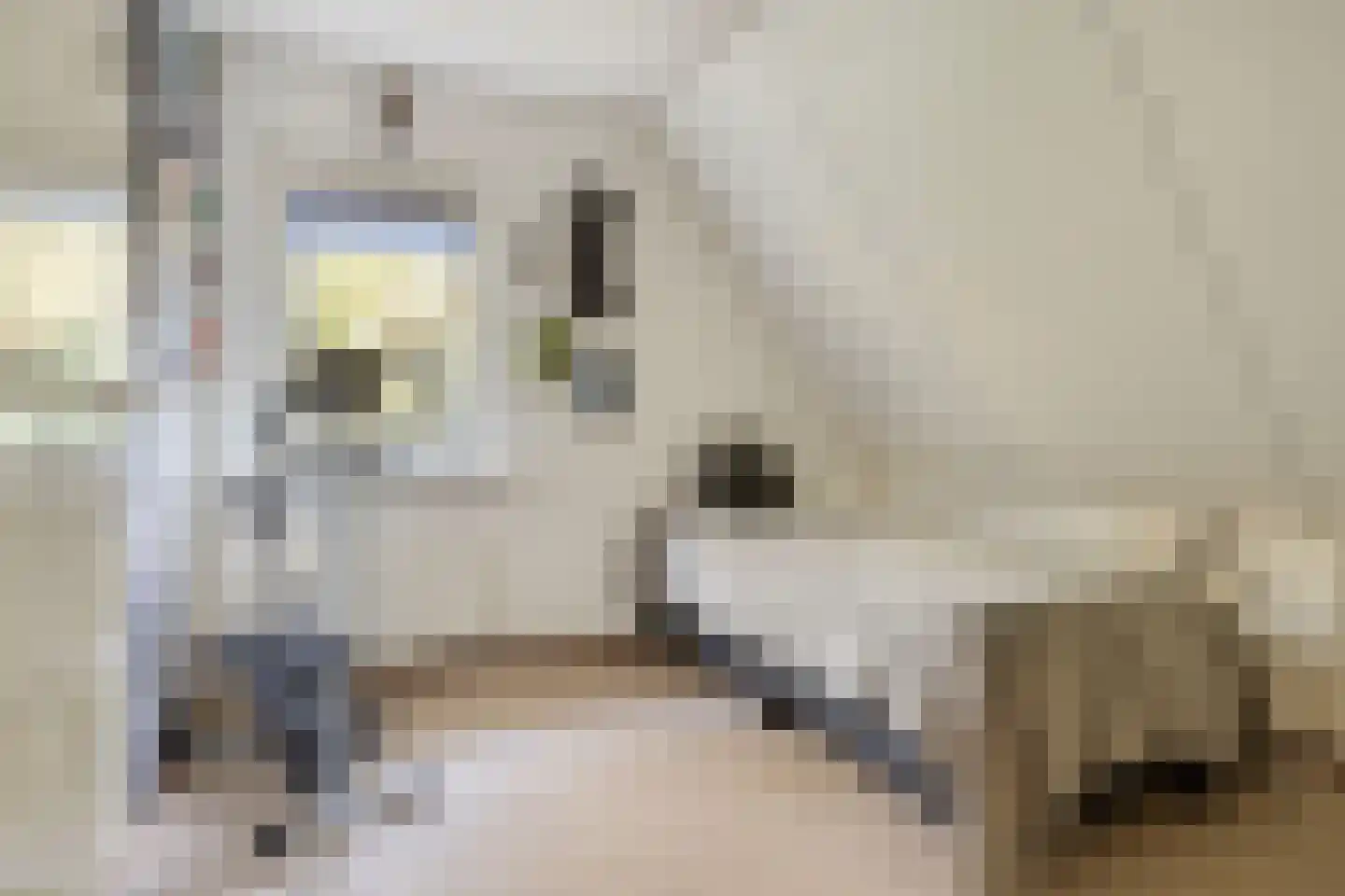 Vorenpakker 19 Bant thumbnail 26