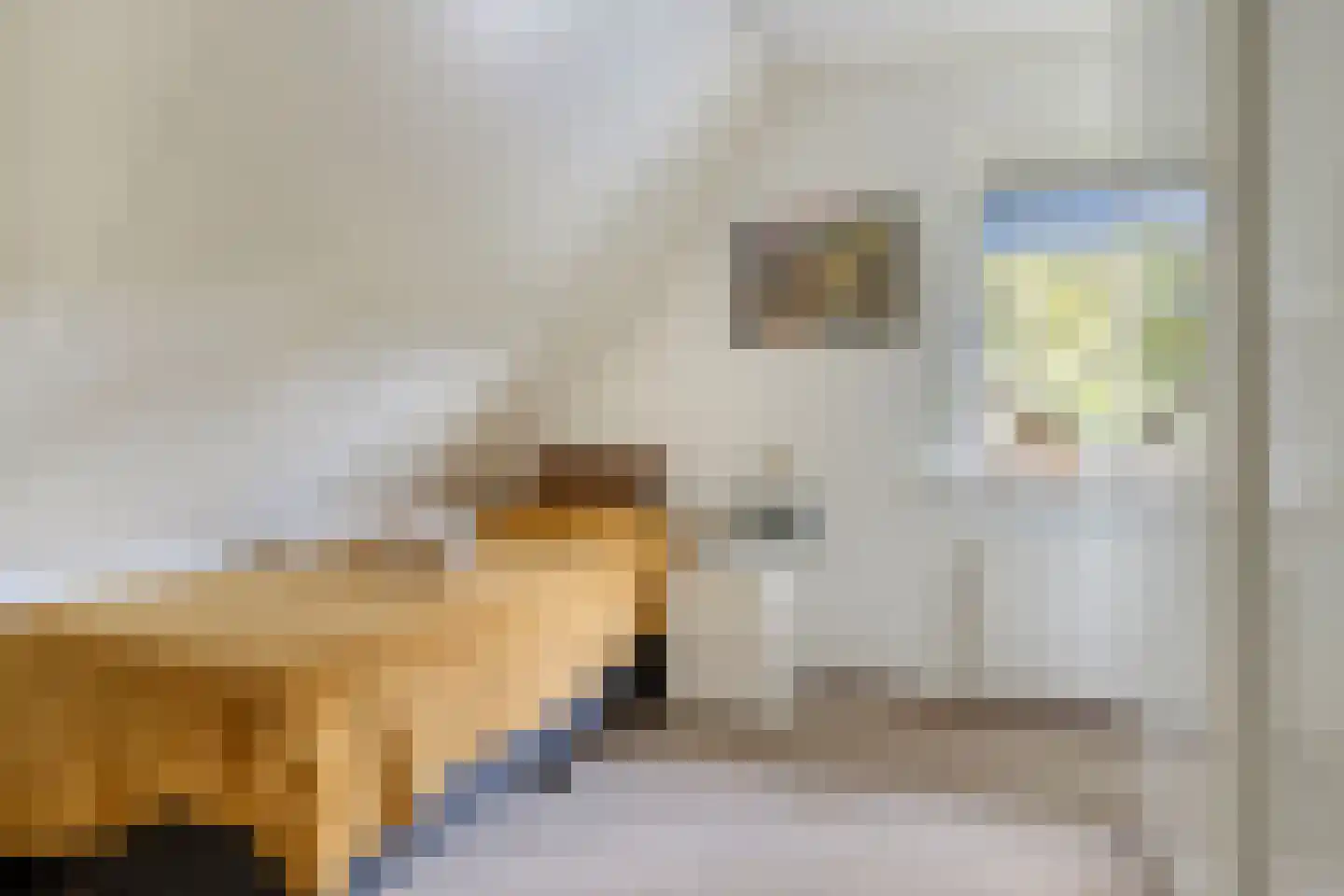 Vorenpakker 19 Bant thumbnail 27