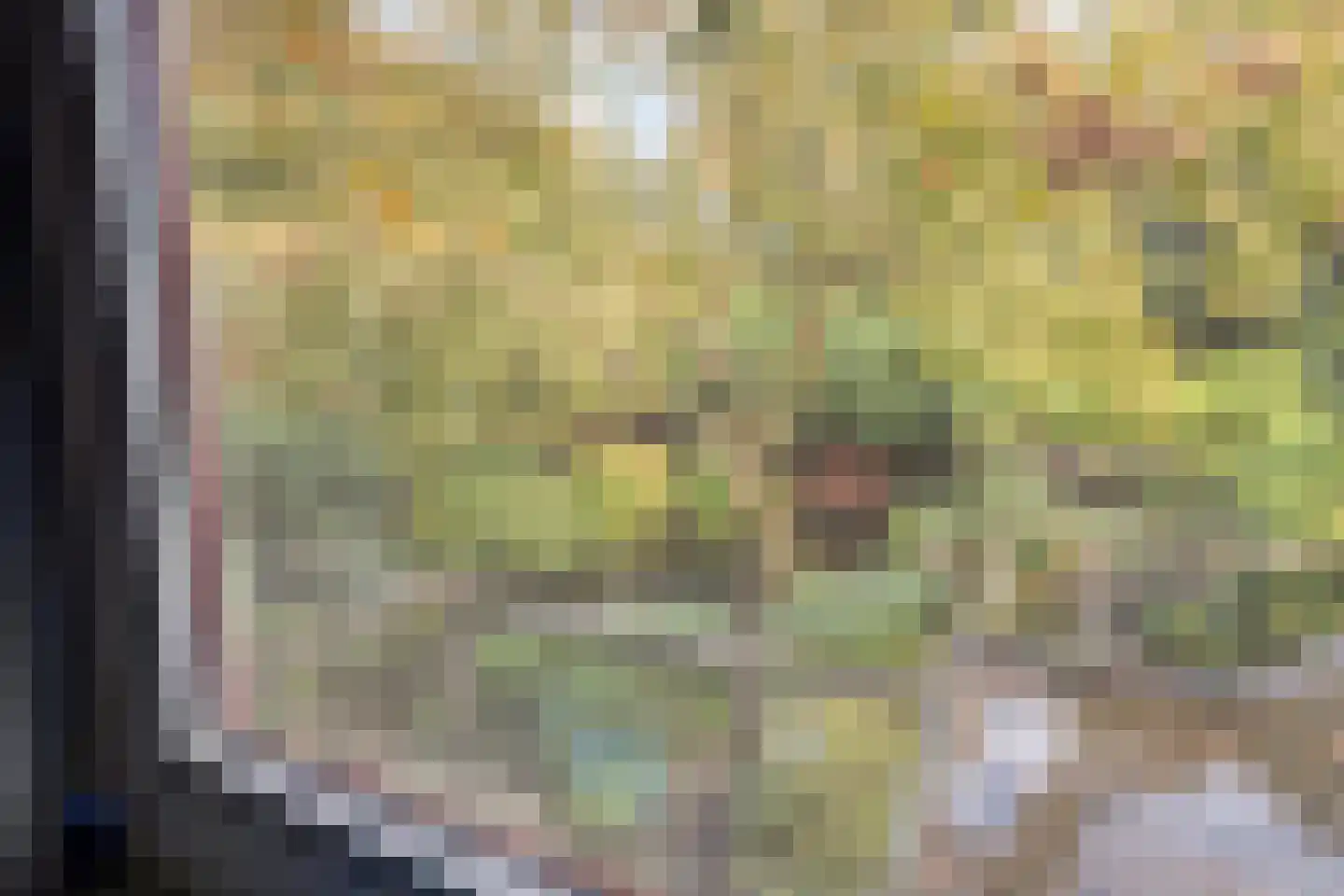 Vorenpakker 19 Bant thumbnail 28