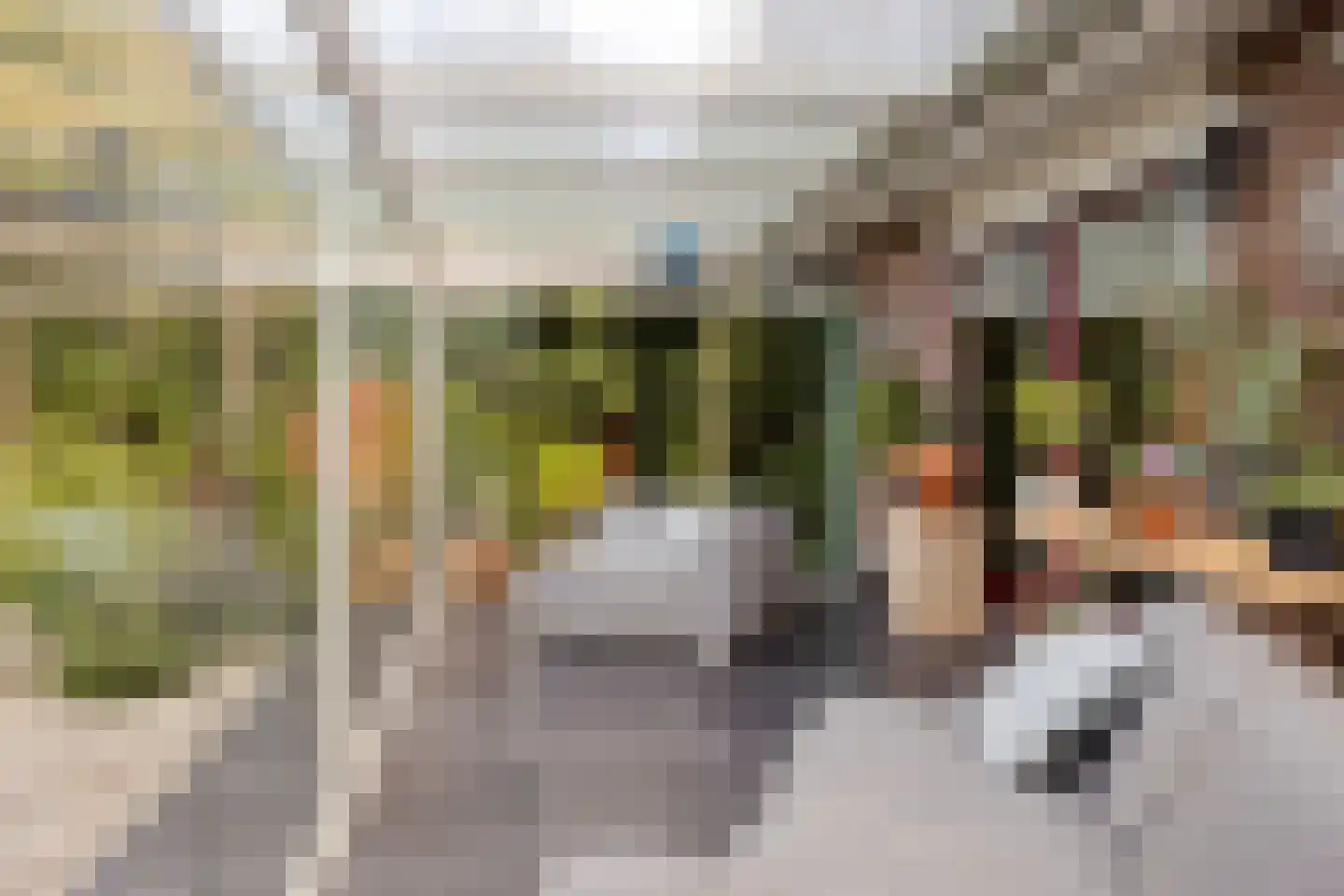 Vorenpakker 19 Bant thumbnail 29