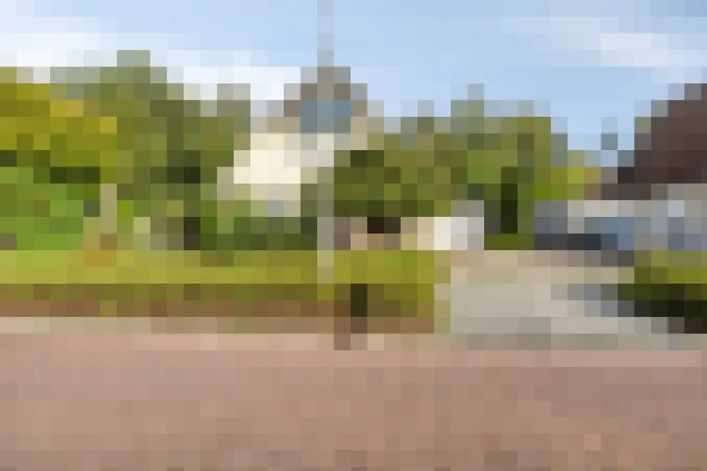 Vorenpakker 19 Bant foto 3