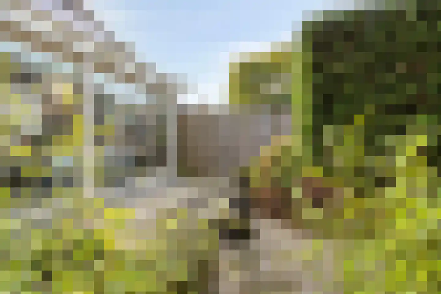 Vorenpakker 19 Bant thumbnail 30