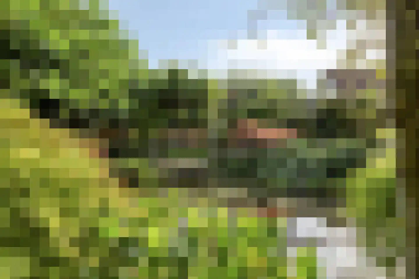 Vorenpakker 19 Bant thumbnail 34
