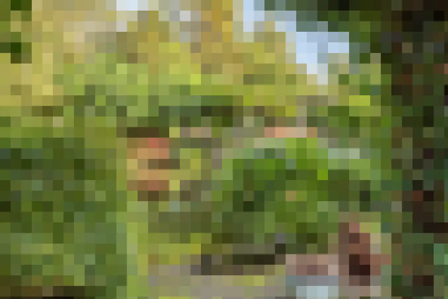 Vorenpakker 19 Bant thumbnail 35