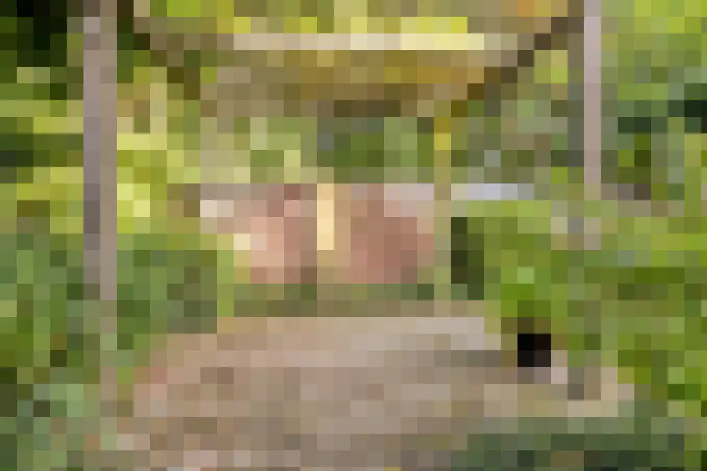 Vorenpakker 19 Bant thumbnail 37