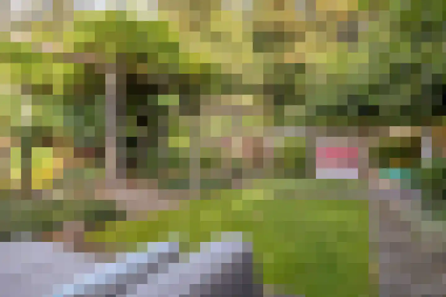 Vorenpakker 19 Bant thumbnail 38