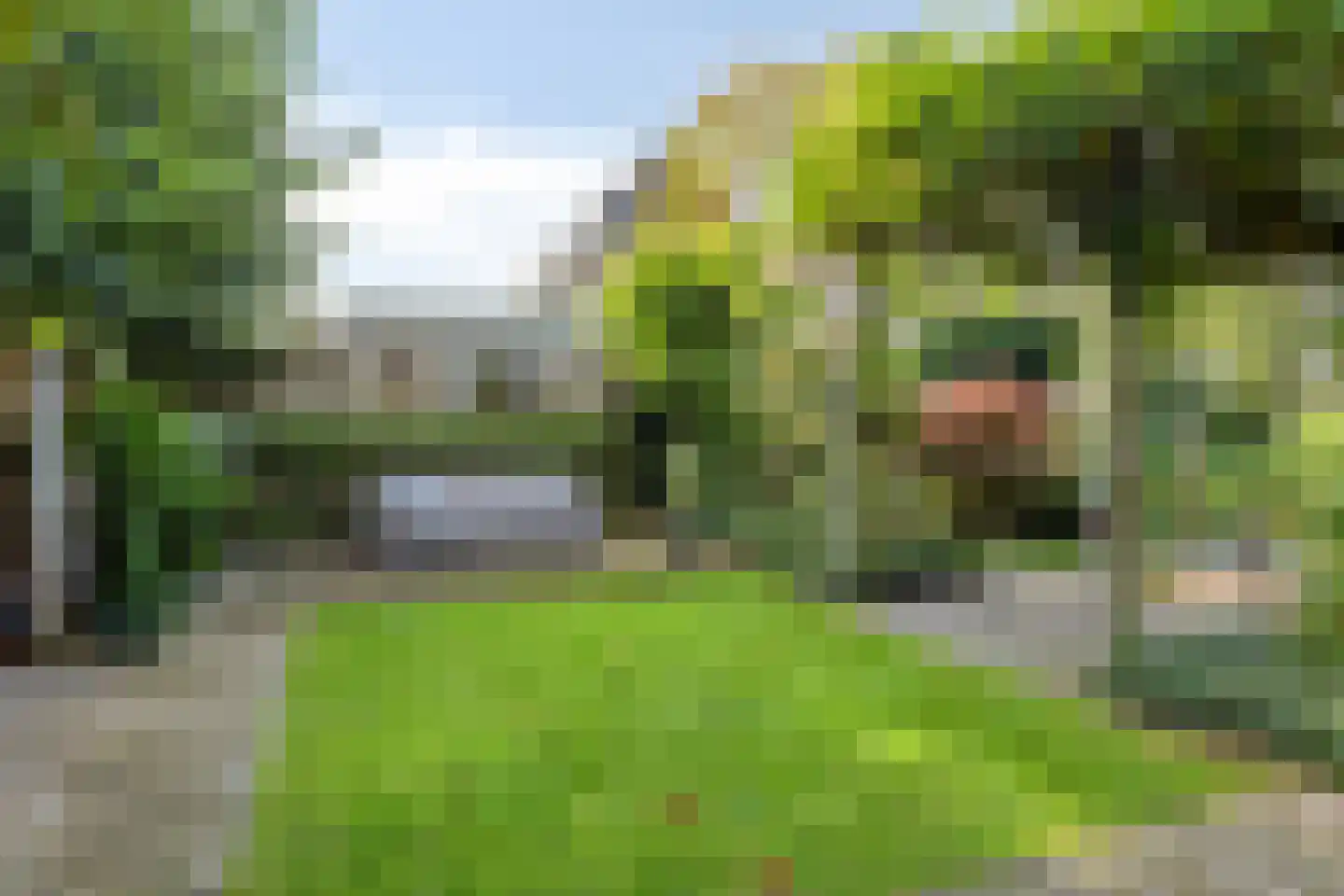 Vorenpakker 19 Bant thumbnail 39