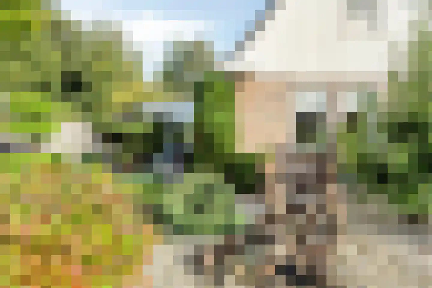 Vorenpakker 19 Bant thumbnail 4