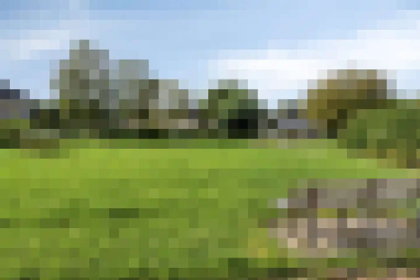 Vorenpakker 19 Bant thumbnail 40