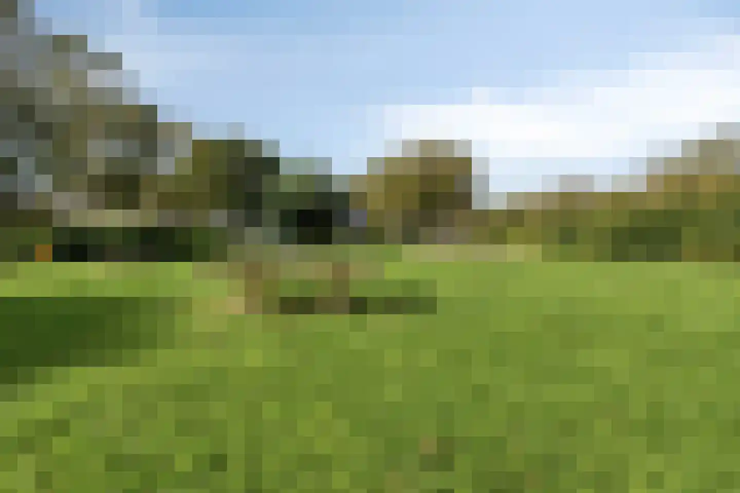 Vorenpakker 19 Bant thumbnail 41