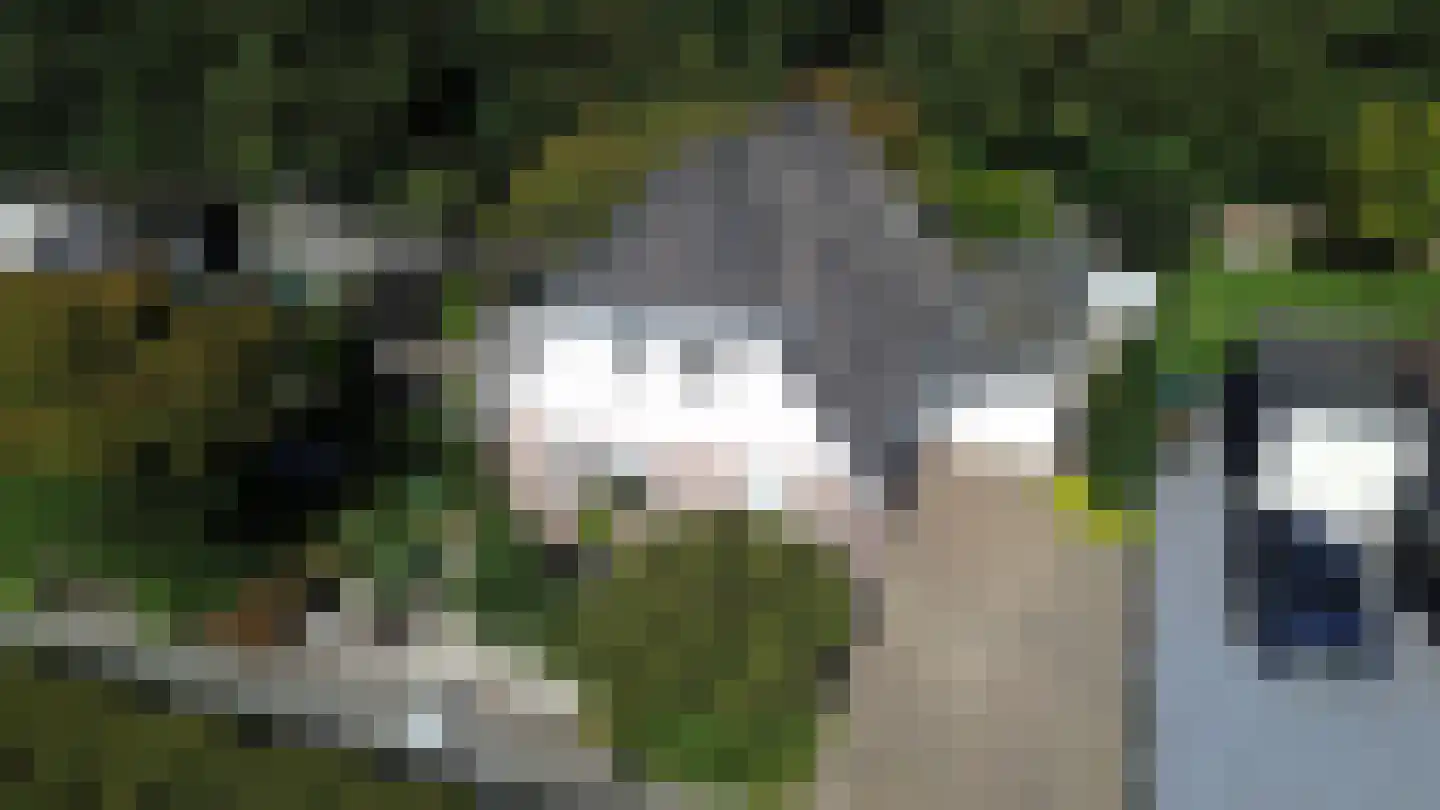 Vorenpakker 19 Bant thumbnail 42