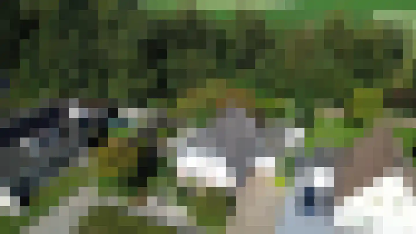 Vorenpakker 19 Bant thumbnail 43