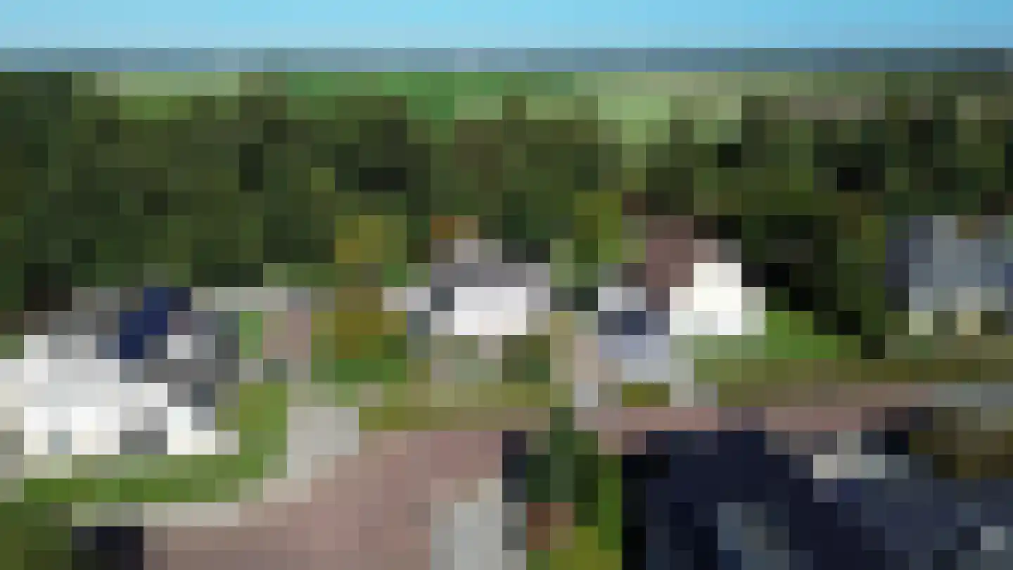 Vorenpakker 19 Bant thumbnail 44