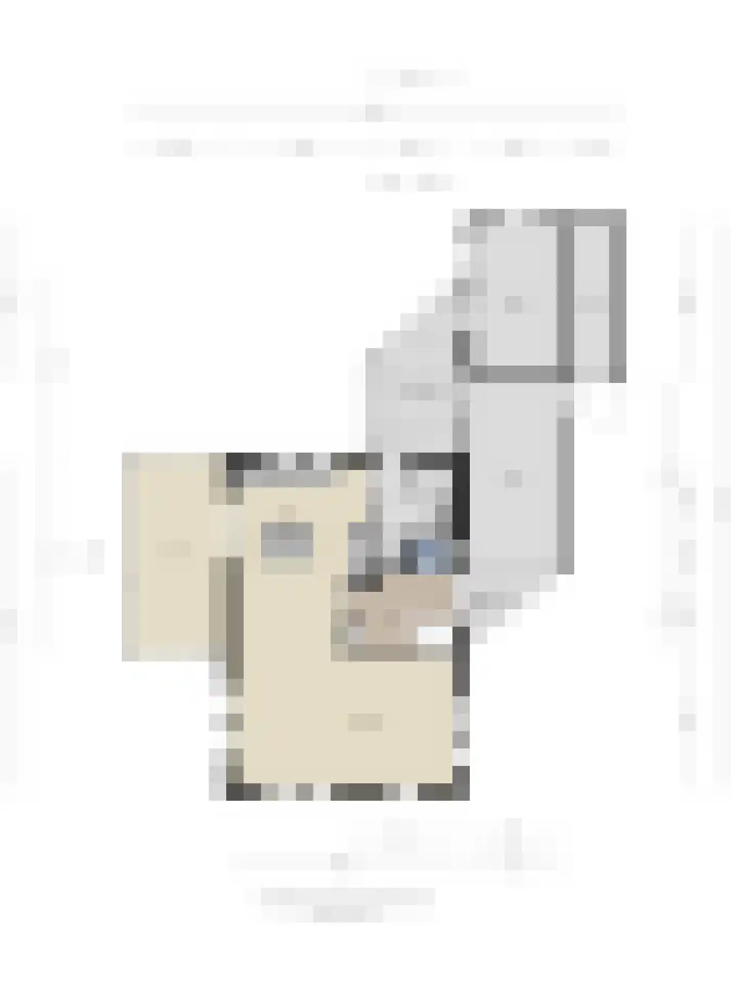 Vorenpakker 19 Bant thumbnail 45