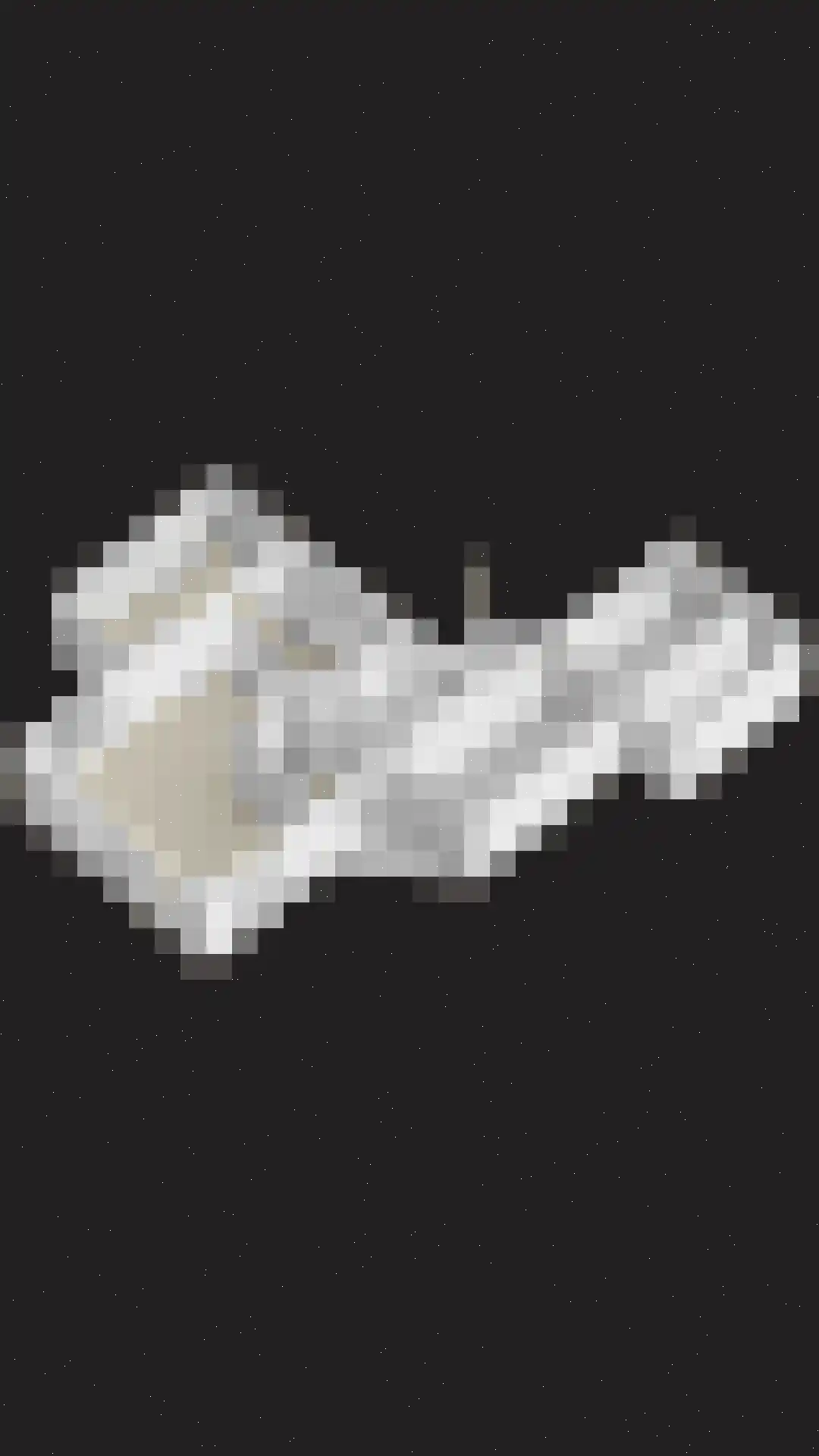 Vorenpakker 19 Bant thumbnail 49