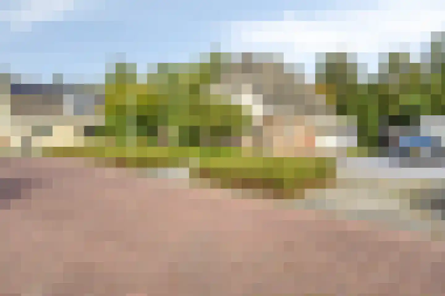 Vorenpakker 19 Bant thumbnail 5