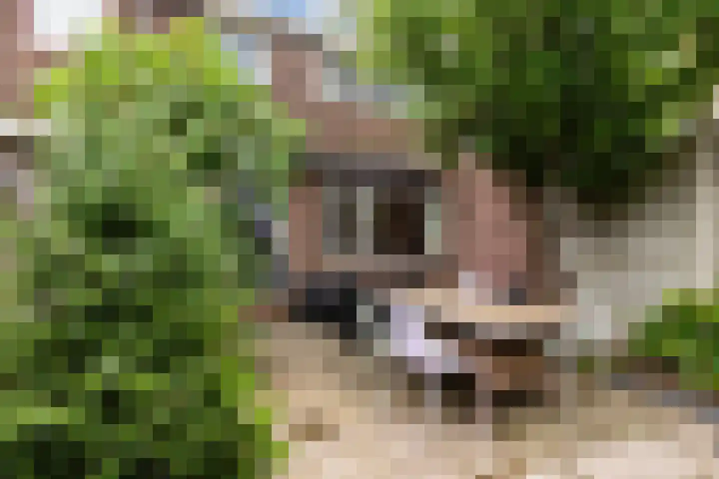 Vorensaterstraat 17 Dordrecht thumbnail 21