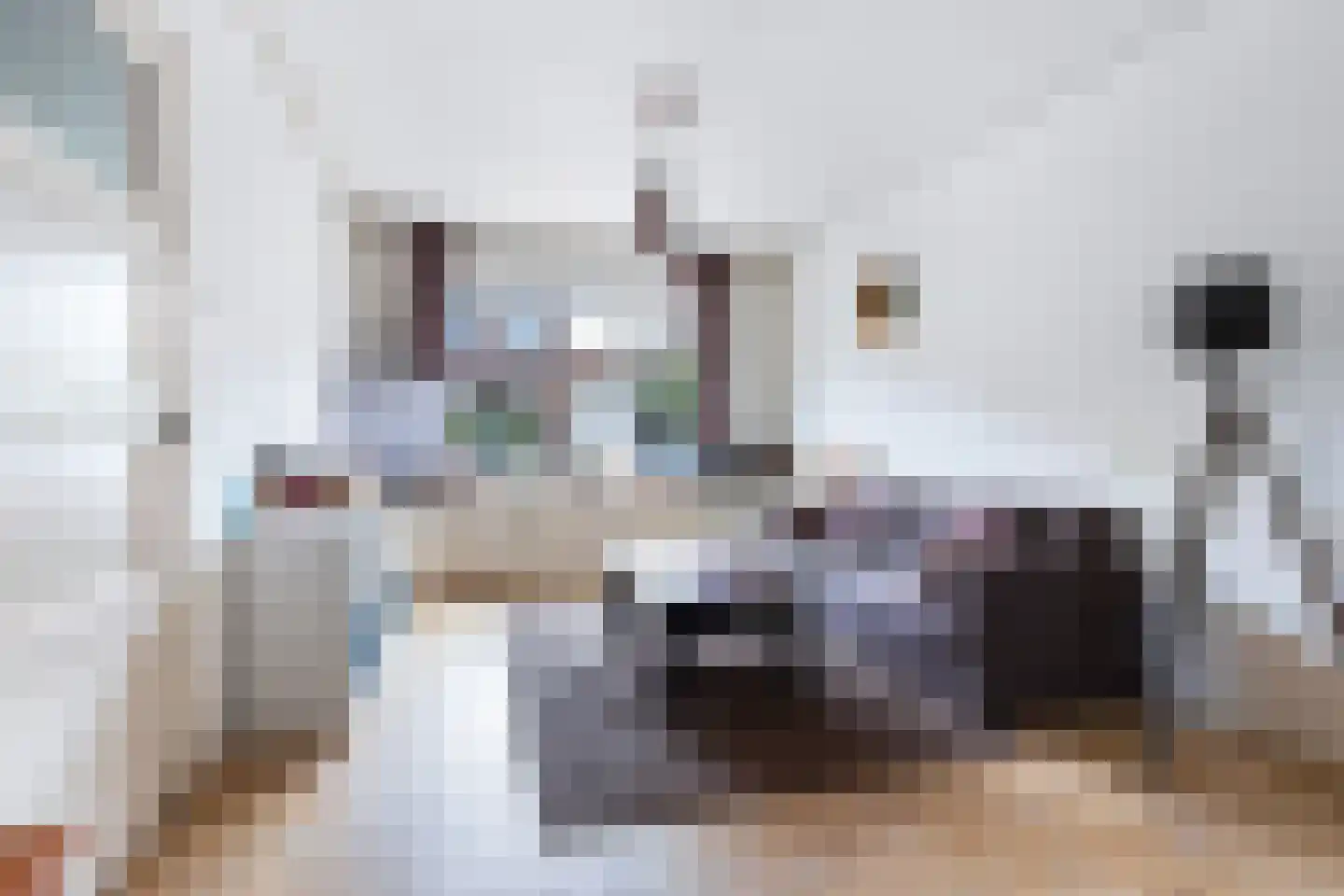 Vorensaterstraat 17 Dordrecht thumbnail 6