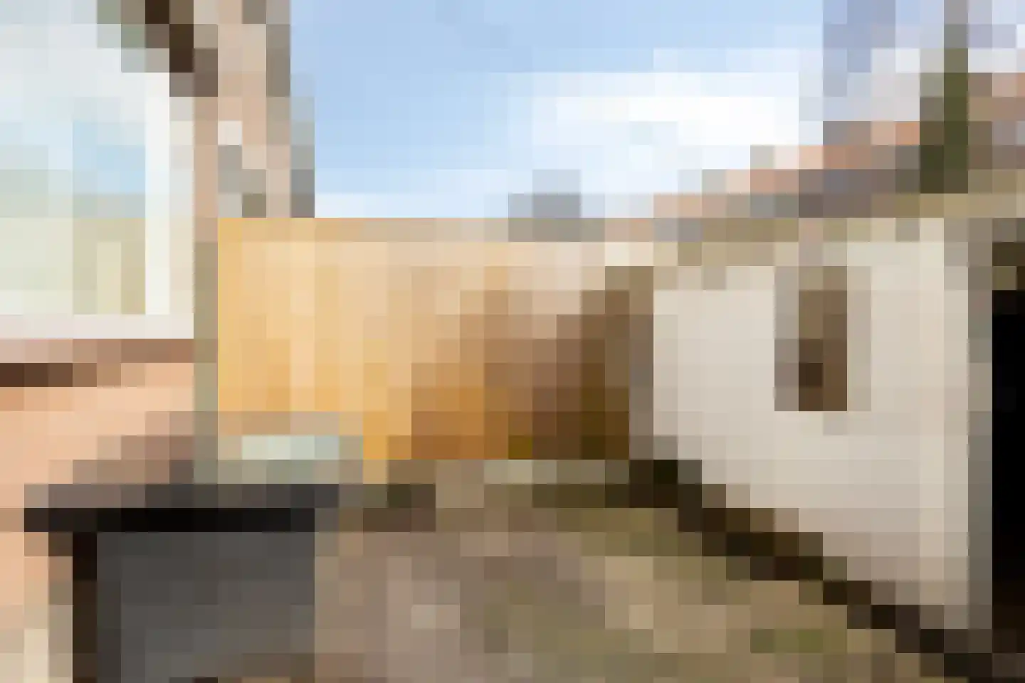 Vorensaterstraat 52 Dordrecht thumbnail 6