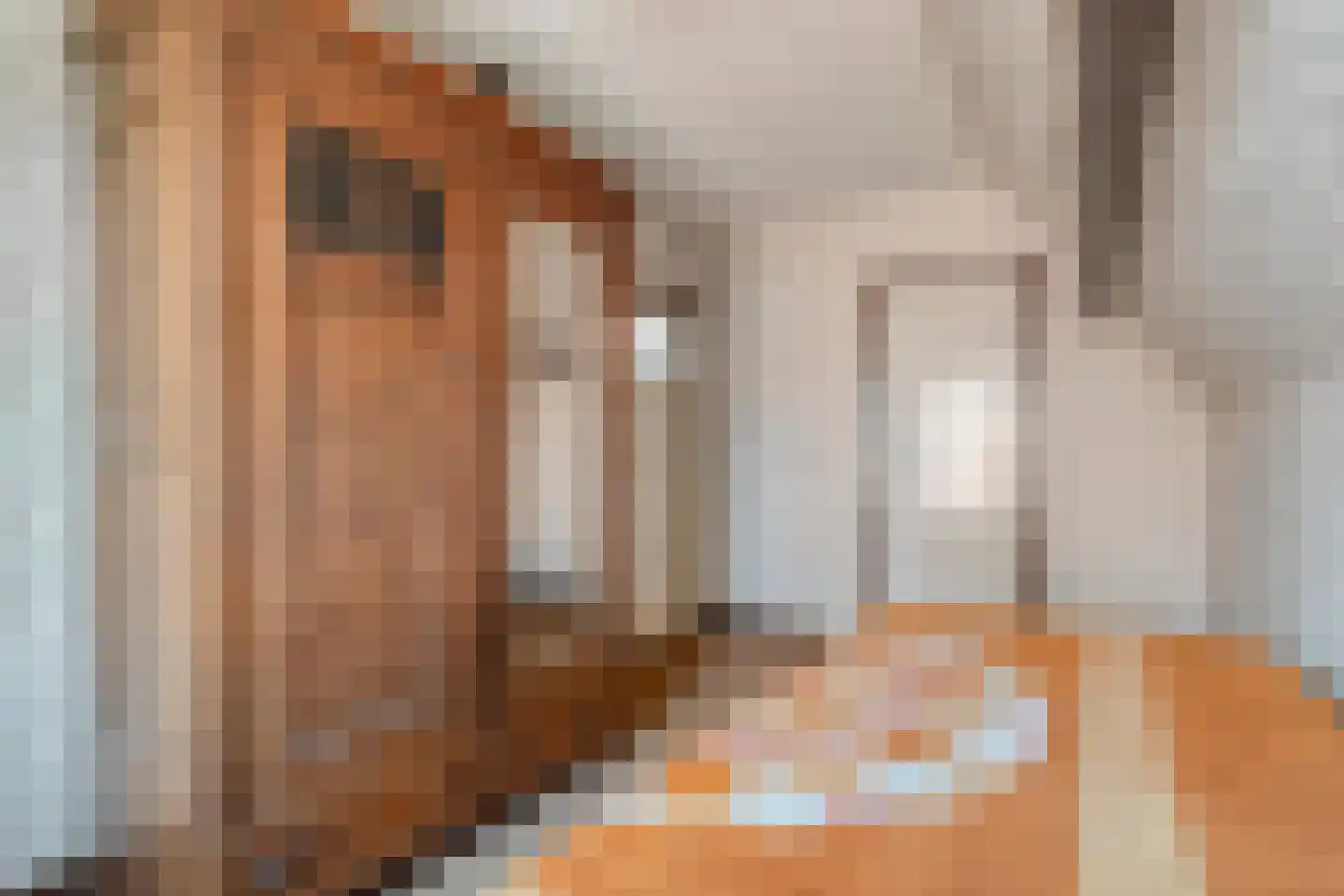 Vorenseindseweg 13 Sprundel thumbnail 18