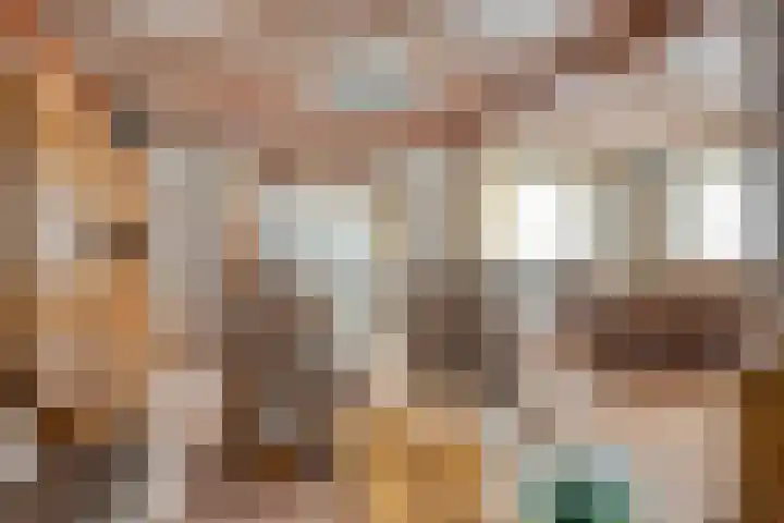 Vorenseindseweg 21 Sprundel thumbnail 11