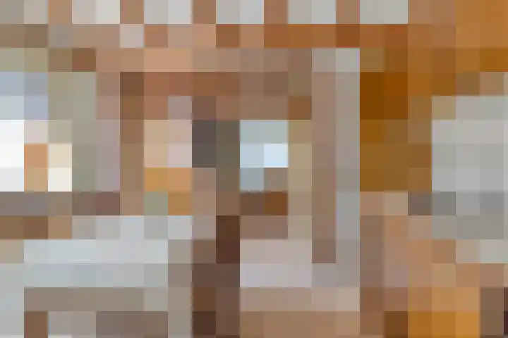Vorenseindseweg 21 Sprundel thumbnail 13