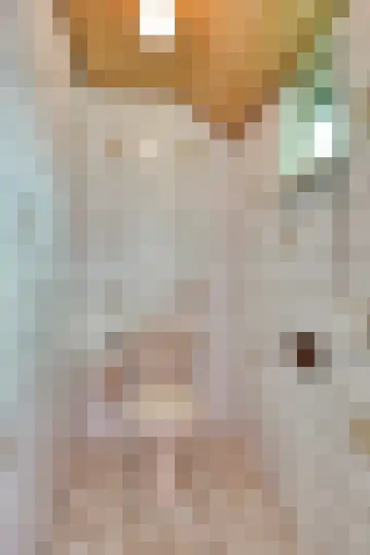 Vorenseindseweg 21 Sprundel thumbnail 16