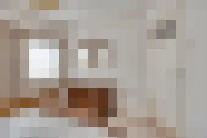 Vorenseindseweg 21 Sprundel thumbnail 20