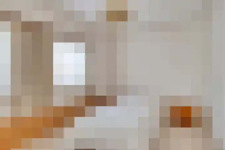 Vorenseindseweg 21 Sprundel thumbnail 21