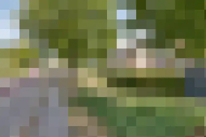 Vorenseindseweg 21 Sprundel thumbnail 36