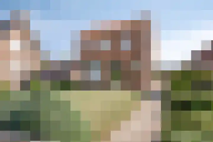 Vorenseindseweg 21 Sprundel thumbnail 5