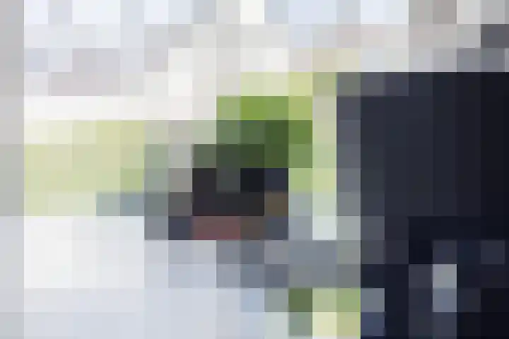Vorenseindseweg 7 Sprundel thumbnail 11