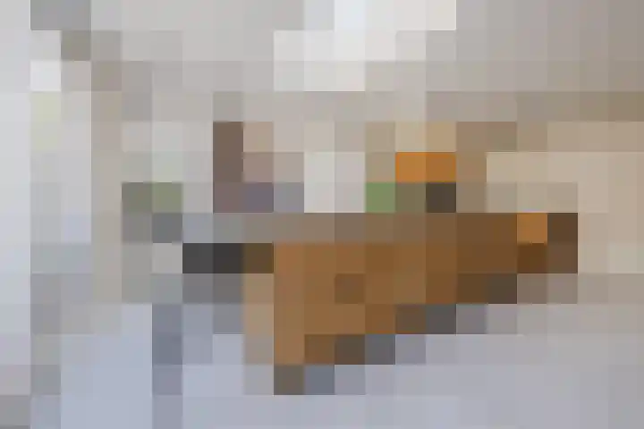 Vorenseindseweg 7 Sprundel thumbnail 14
