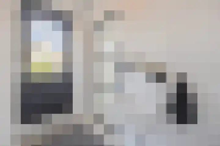 Vorenseindseweg 7 Sprundel thumbnail 16
