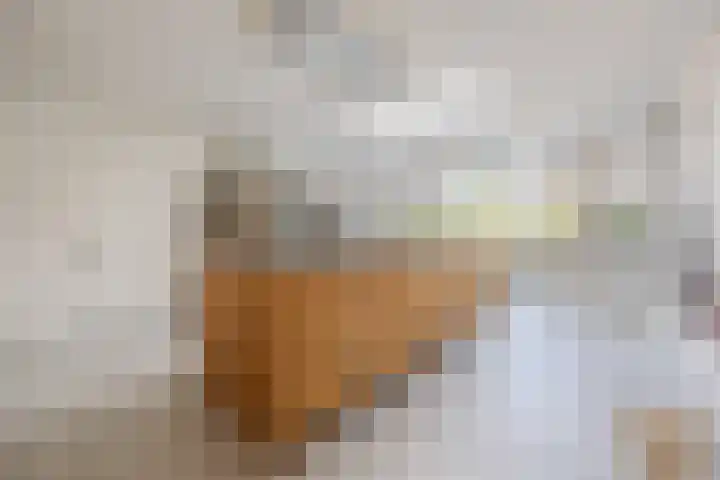 Vorenseindseweg 7 Sprundel thumbnail 19