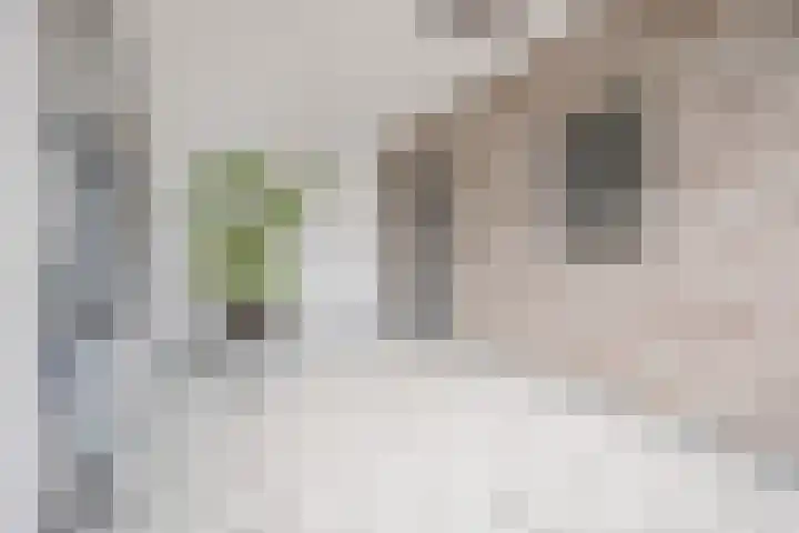 Vorenseindseweg 7 Sprundel thumbnail 27