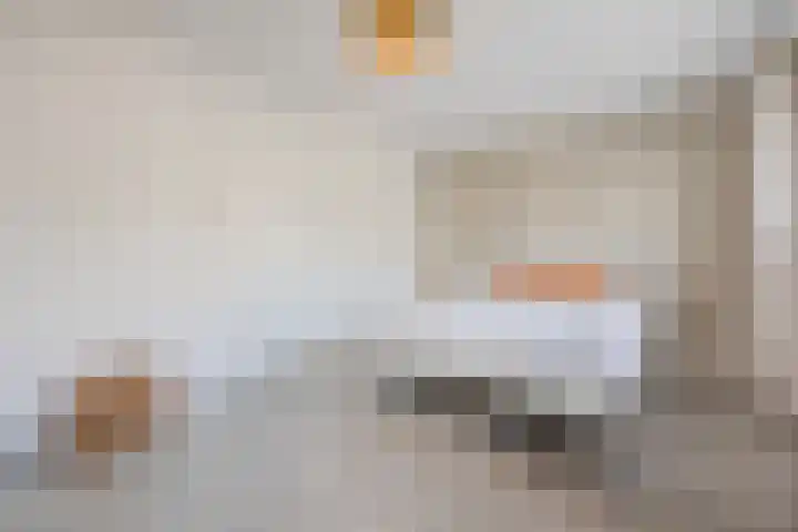Vorenseindseweg 7 Sprundel thumbnail 29