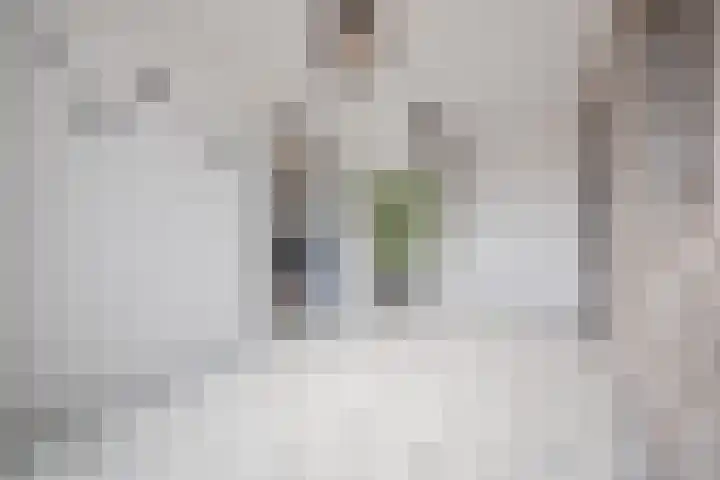 Vorenseindseweg 7 Sprundel thumbnail 35