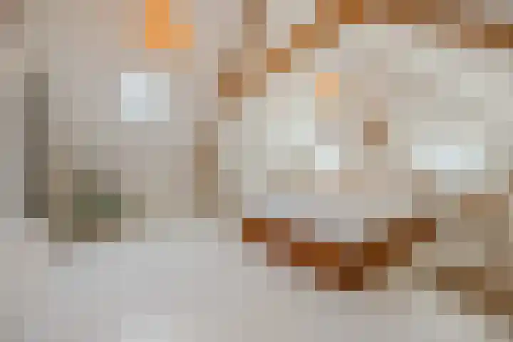 Vorenseindseweg 7 Sprundel thumbnail 40