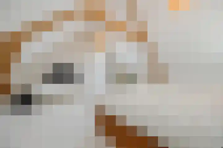 Vorenseindseweg 7 Sprundel thumbnail 42
