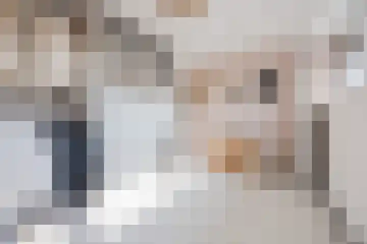 Vorenseindseweg 7 Sprundel thumbnail 45