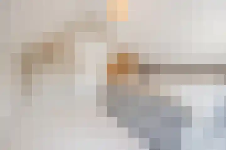 Vorenseindseweg 7 Sprundel thumbnail 48