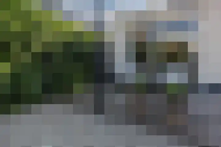 Vorenseindseweg 7 Sprundel thumbnail 52