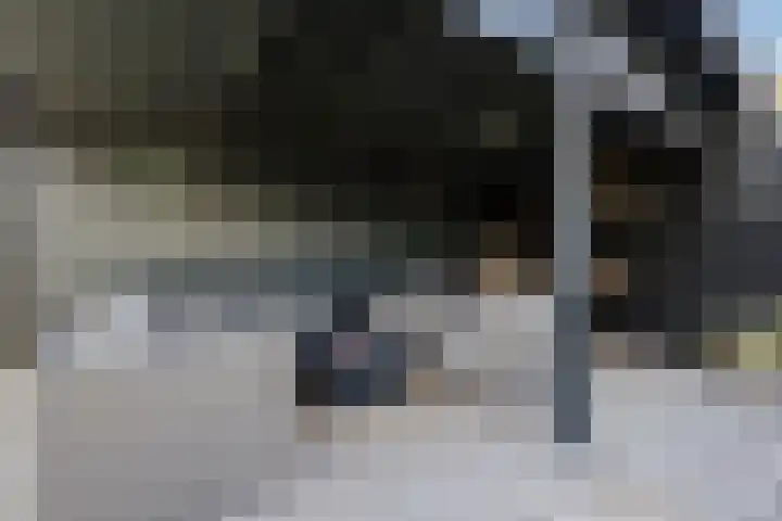 Vorenseindseweg 7 Sprundel thumbnail 58