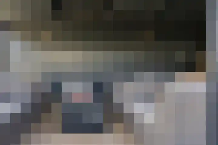 Vorenseindseweg 7 Sprundel thumbnail 59
