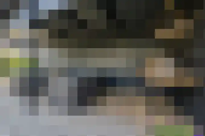 Vorenseindseweg 7 Sprundel thumbnail 60